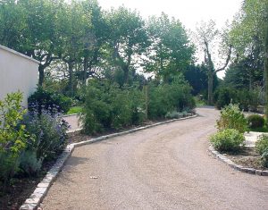 Végétalisation de l'allée